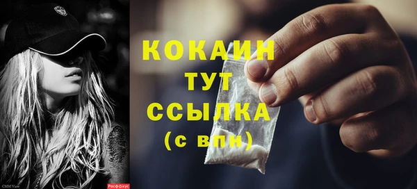 спиды Бородино