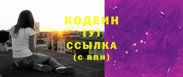 спиды Бородино