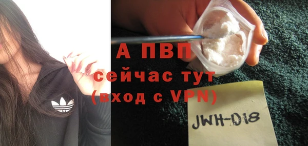 ешки Богданович