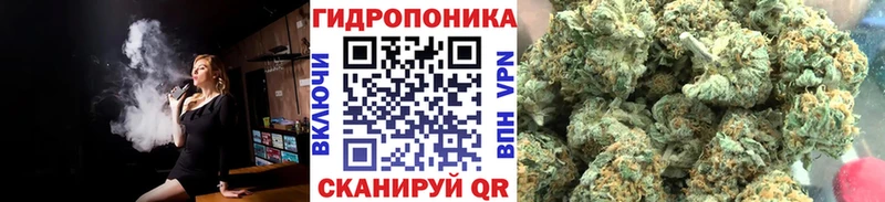 Конопля THC 21%  Афипский 